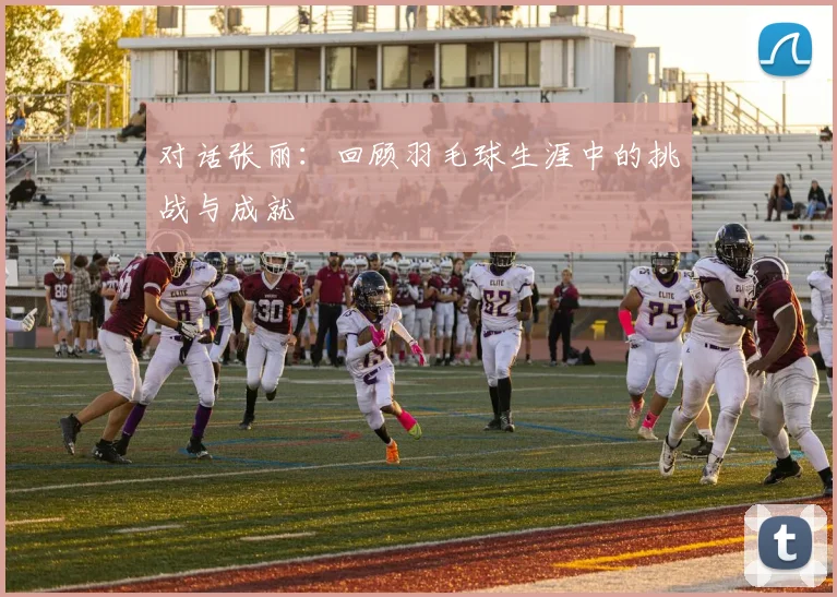 对话张丽:回顾羽毛球生涯中的挑战与成就