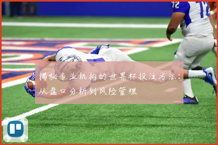 揭秘专业机构的世界杯投注方法：从盘口分析到风险管理