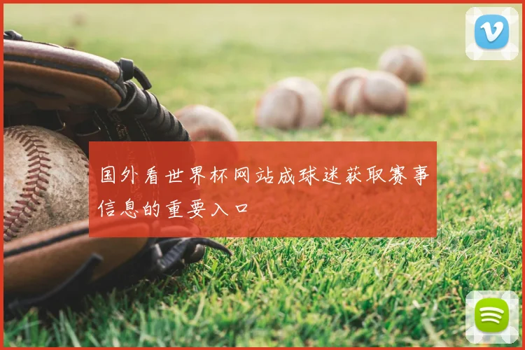 国外看世界杯网站成球迷获取赛事信息的重要入口