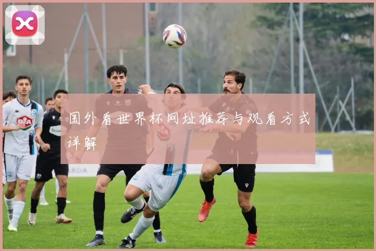 国外看世界杯网址推荐与观看方式详解