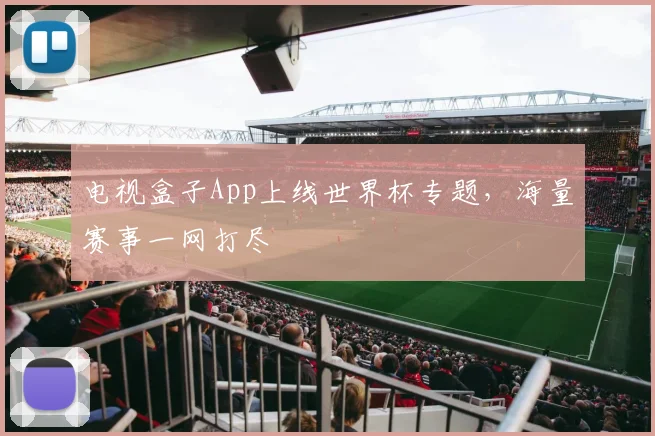 电视盒子App上线世界杯专题，海量赛事一网打尽
