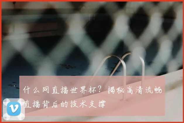 什么网直播世界杯？揭秘高清流畅直播背后的技术支撑