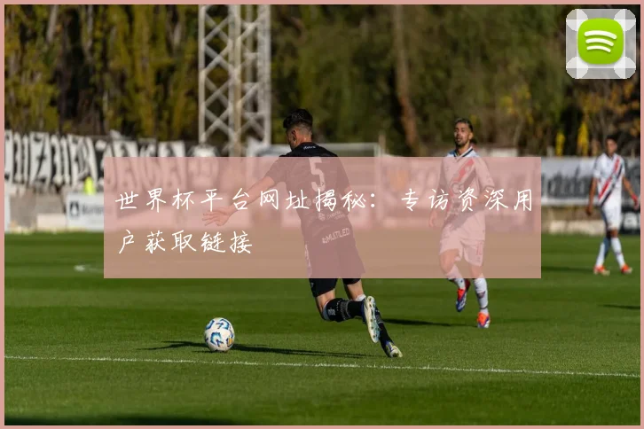 世界杯平台网址揭秘：专访资深用户获取链接
