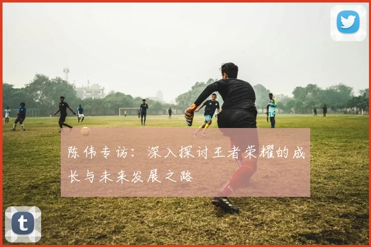 陈伟专访：深入探讨王者荣耀的成长与未来发展之路