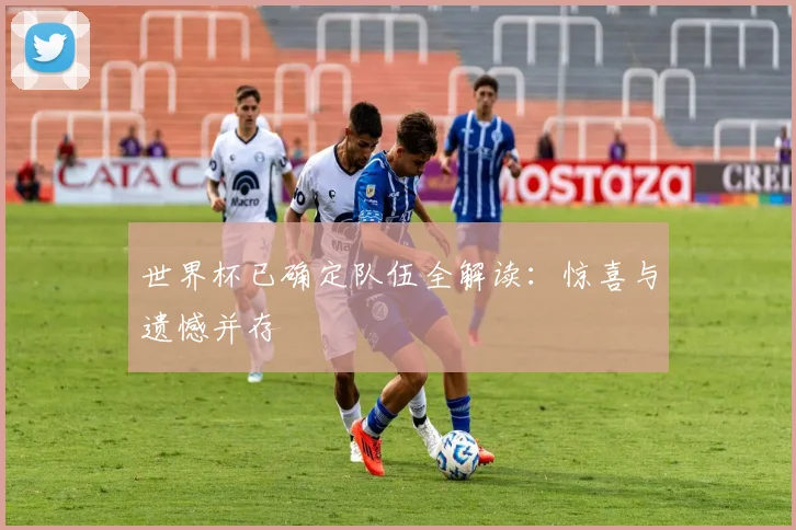 世界杯已确定队伍全解读：惊喜与遗憾并存
