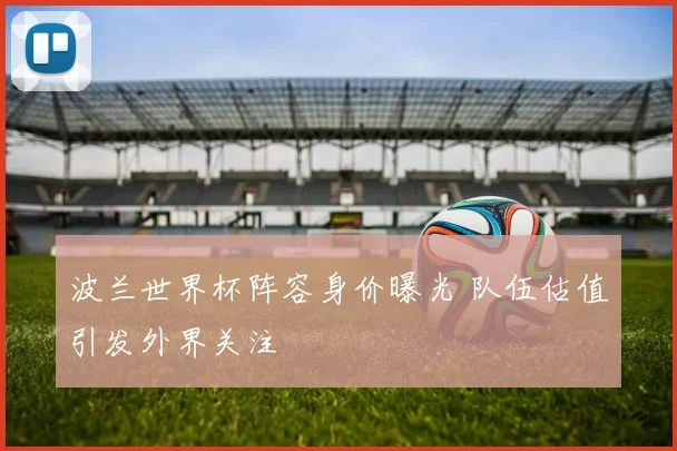 波兰世界杯阵容身价曝光 队伍估值引发外界关注